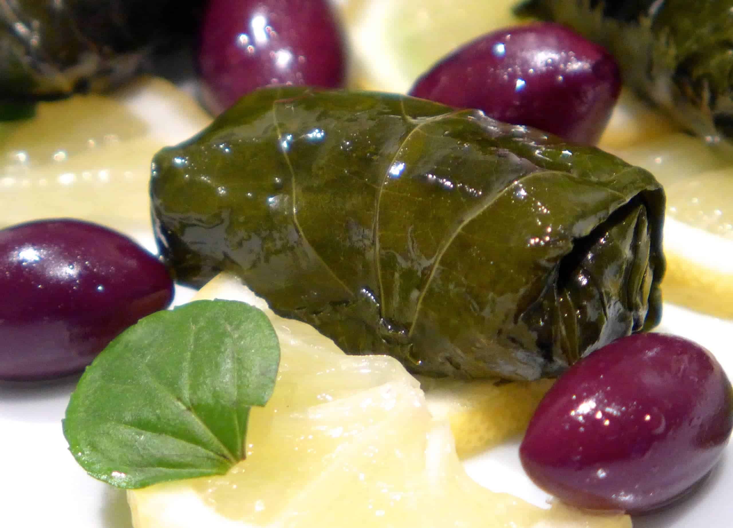 Greek Dolmades: The Ultimate Stuffed Vine Leaf Appetizer Recipe